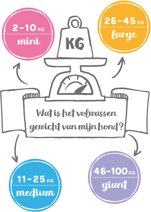 Wat is het volwassen gewicht van mijn hond?
