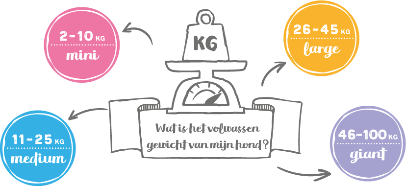 Wat is het volwassen gewicht van mijn hond?