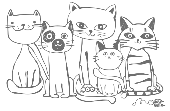 Katten